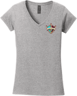 Delaware Ducks Softstyle Ladies Fit V-Neck T-Shirt