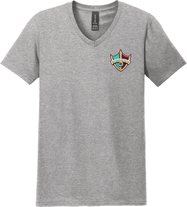 Delaware Ducks Softstyle V-Neck T-Shirt