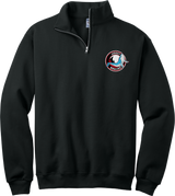 Jersey Shore Whalers NuBlend 1/4-Zip Cadet Collar Sweatshirt