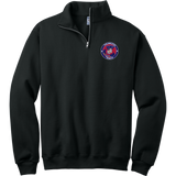 Philadelphia Rebels NuBlend 1/4-Zip Cadet Collar Sweatshirt