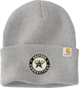 CT ECHO Stars Carhartt Watch Cap 2.0