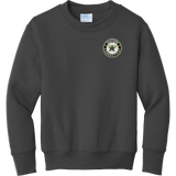 CT ECHO Stars Youth Core Fleece Crewneck Sweatshirt