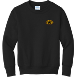 NJ Bears Youth Core Fleece Crewneck Sweatshirt