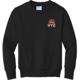 Princeton Tiger Lilies Youth Core Fleece Crewneck Sweatshirt