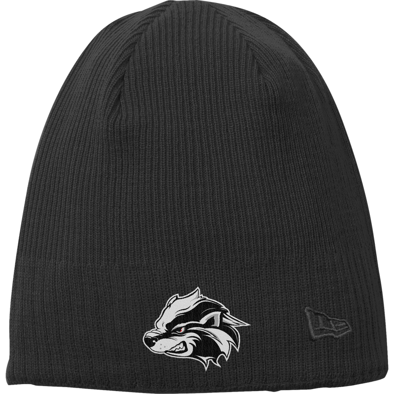 Allegheny Badgers New Era Knit Beanie